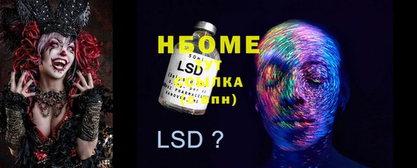 хмурый Няндома
