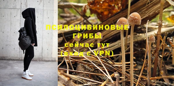шишки Новозыбков