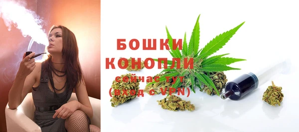 хмурый Няндома