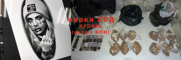 альфа пвп Новодвинск