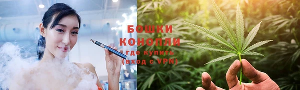 дмт Новокубанск