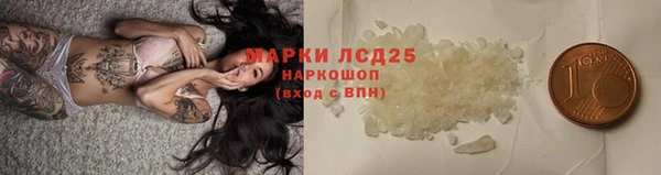 шишки Новозыбков