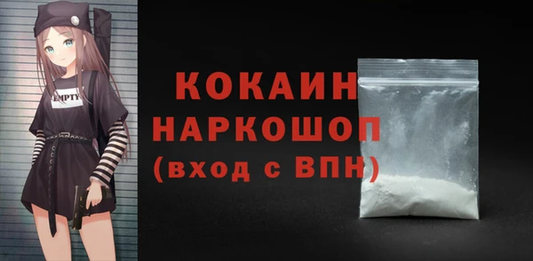 альфа пвп Новодвинск