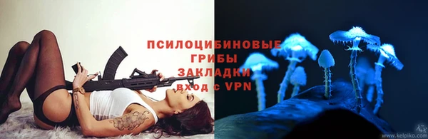 шишки Новозыбков