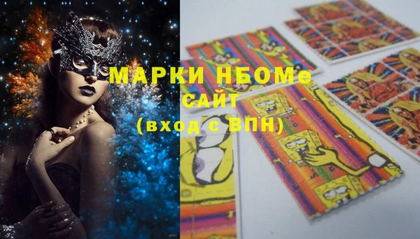 шишки Новозыбков