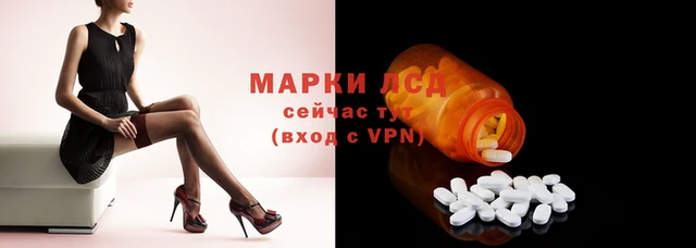 дмт Новокубанск