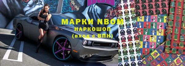 шишки Новозыбков
