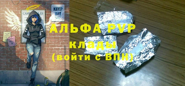 шишки Новозыбков