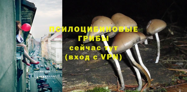 альфа пвп Новодвинск