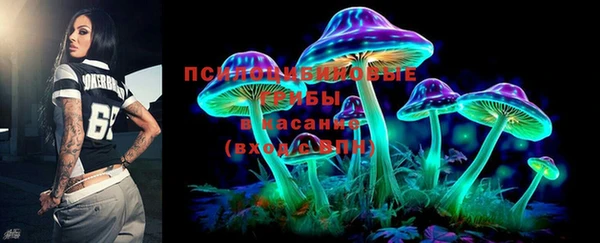 шишки Новозыбков