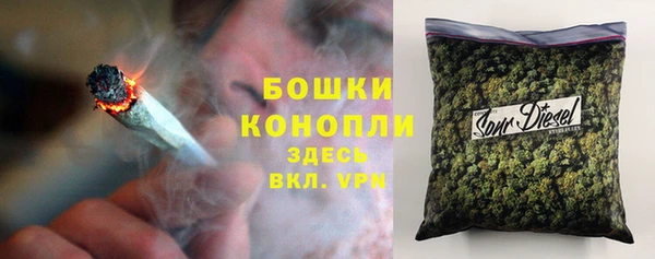 альфа пвп Новодвинск