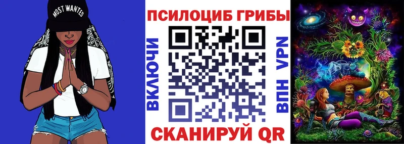 Псилоцибиновые грибы мицелий  мега онион  Солигалич 
