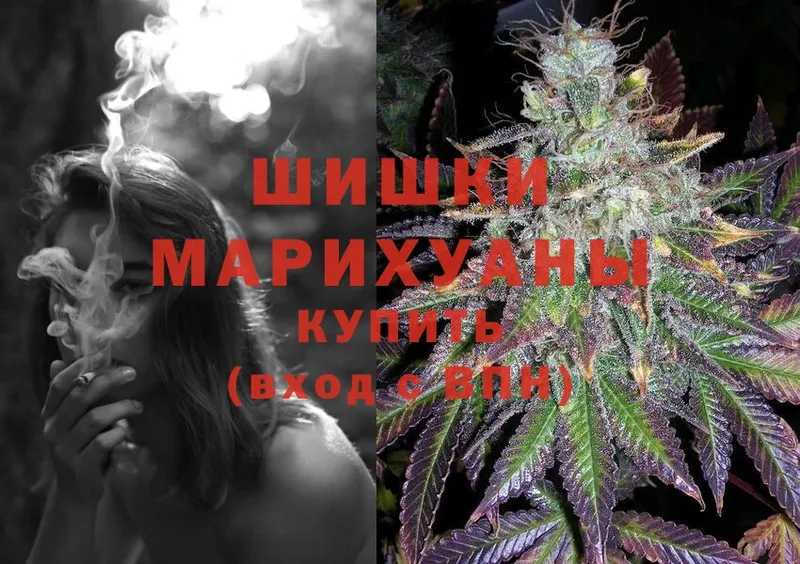 Бошки Шишки SATIVA & INDICA  цена   Солигалич 